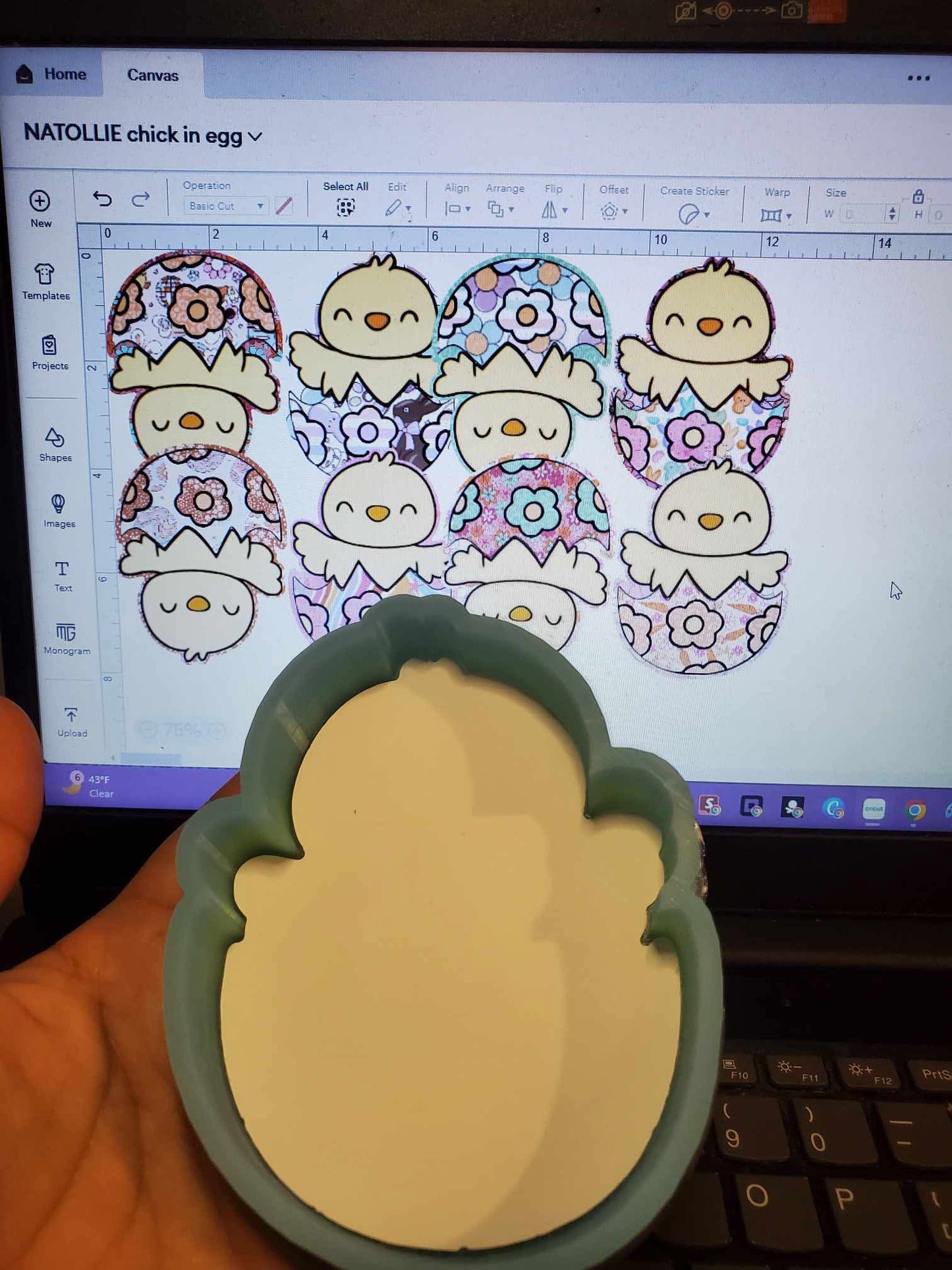 Chick In Egg CardStock Grab Bag