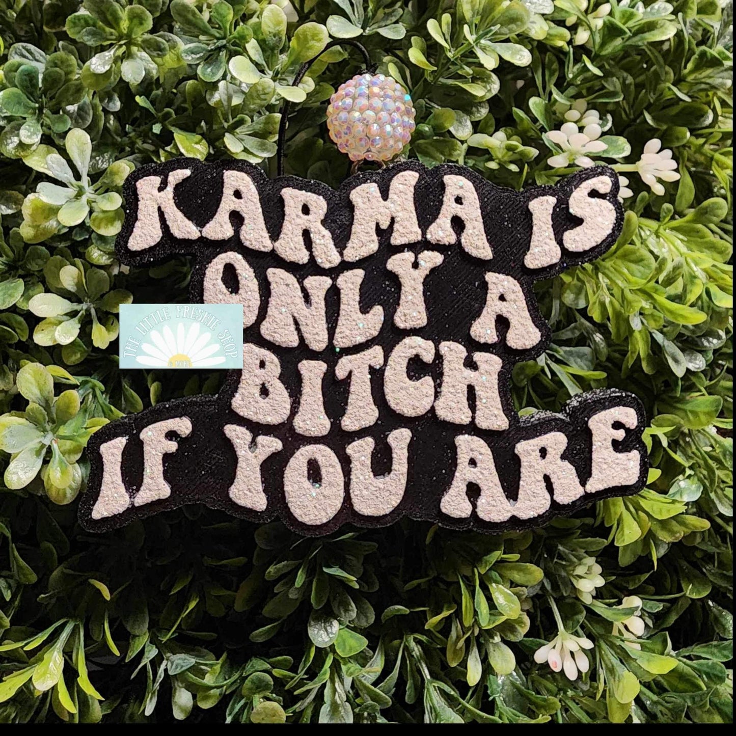 Karma Is Only A B!tch If You Are Freshie Silicone Mold