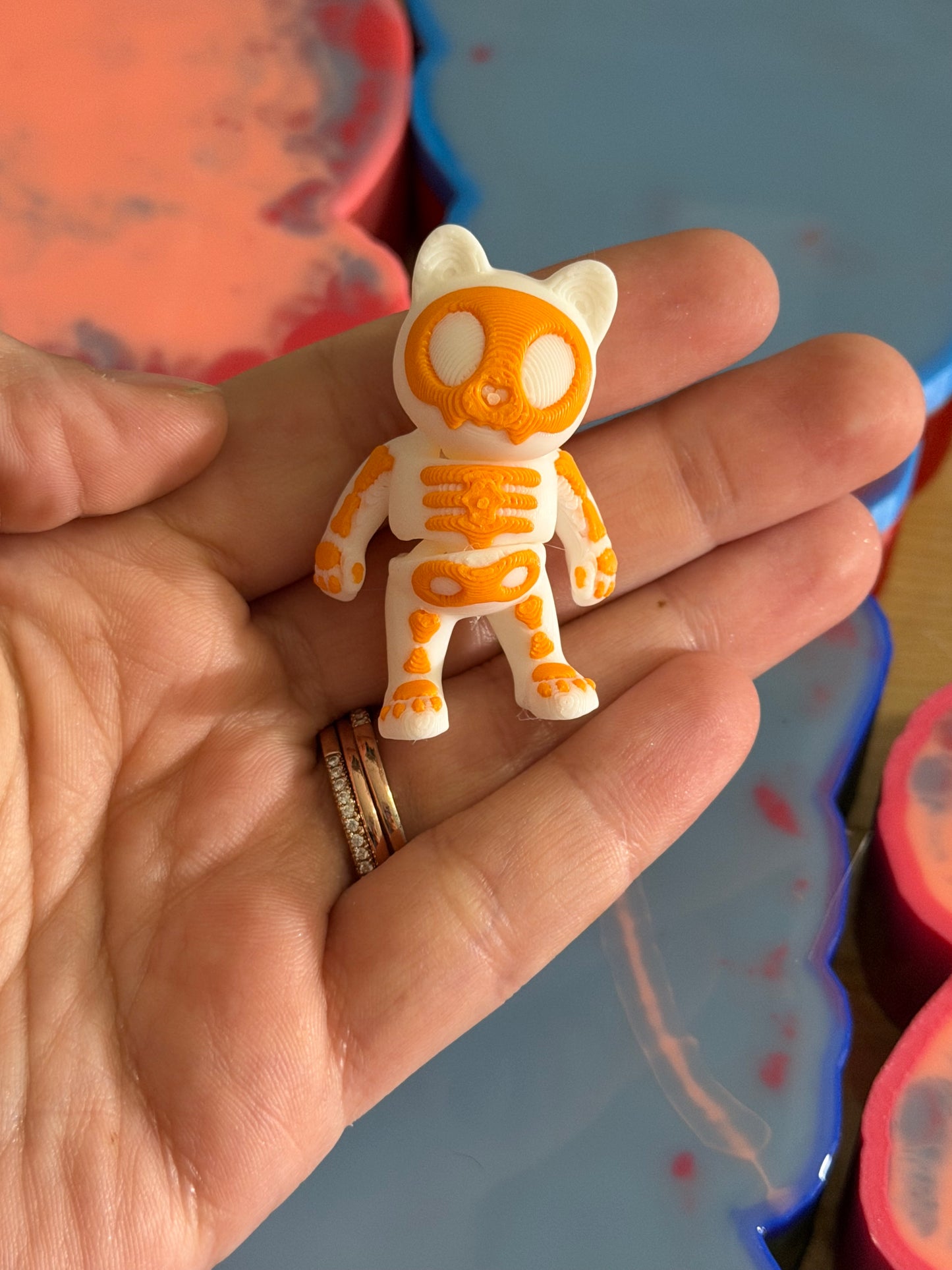 Articulated Cat Skull