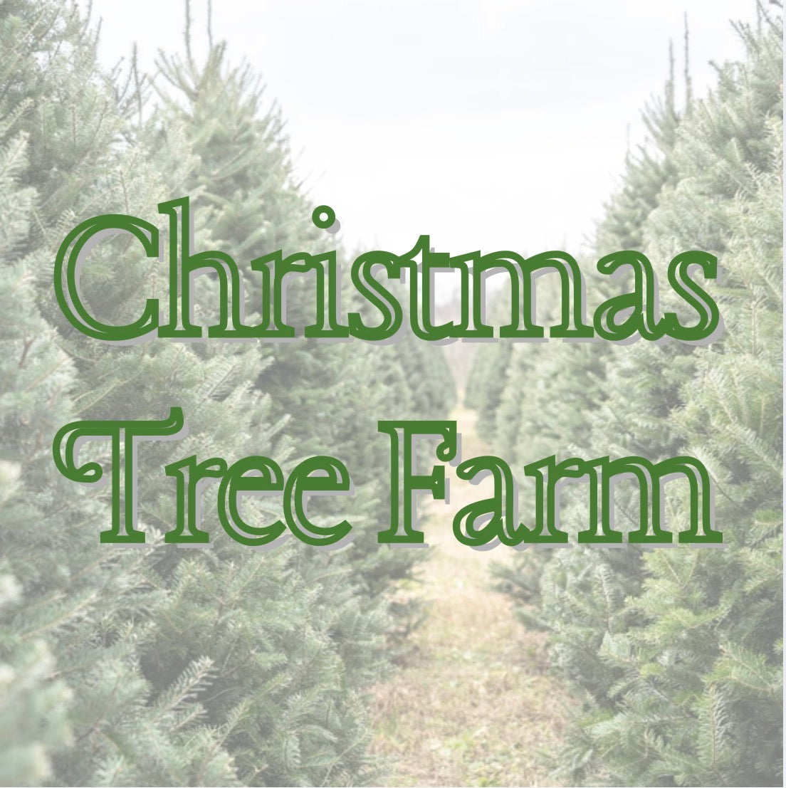Christmas Tree Farm Pre-Scented Beads