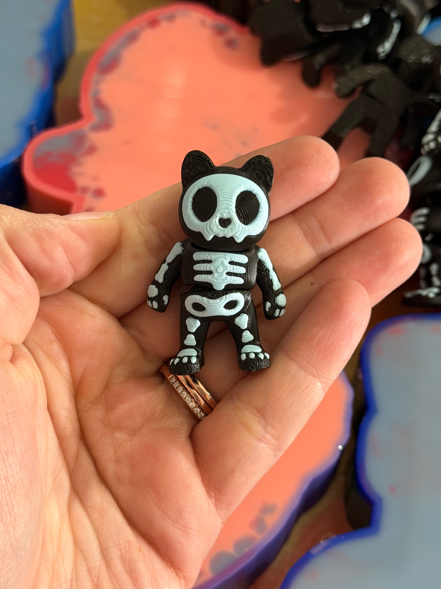 Articulated Cat Skull