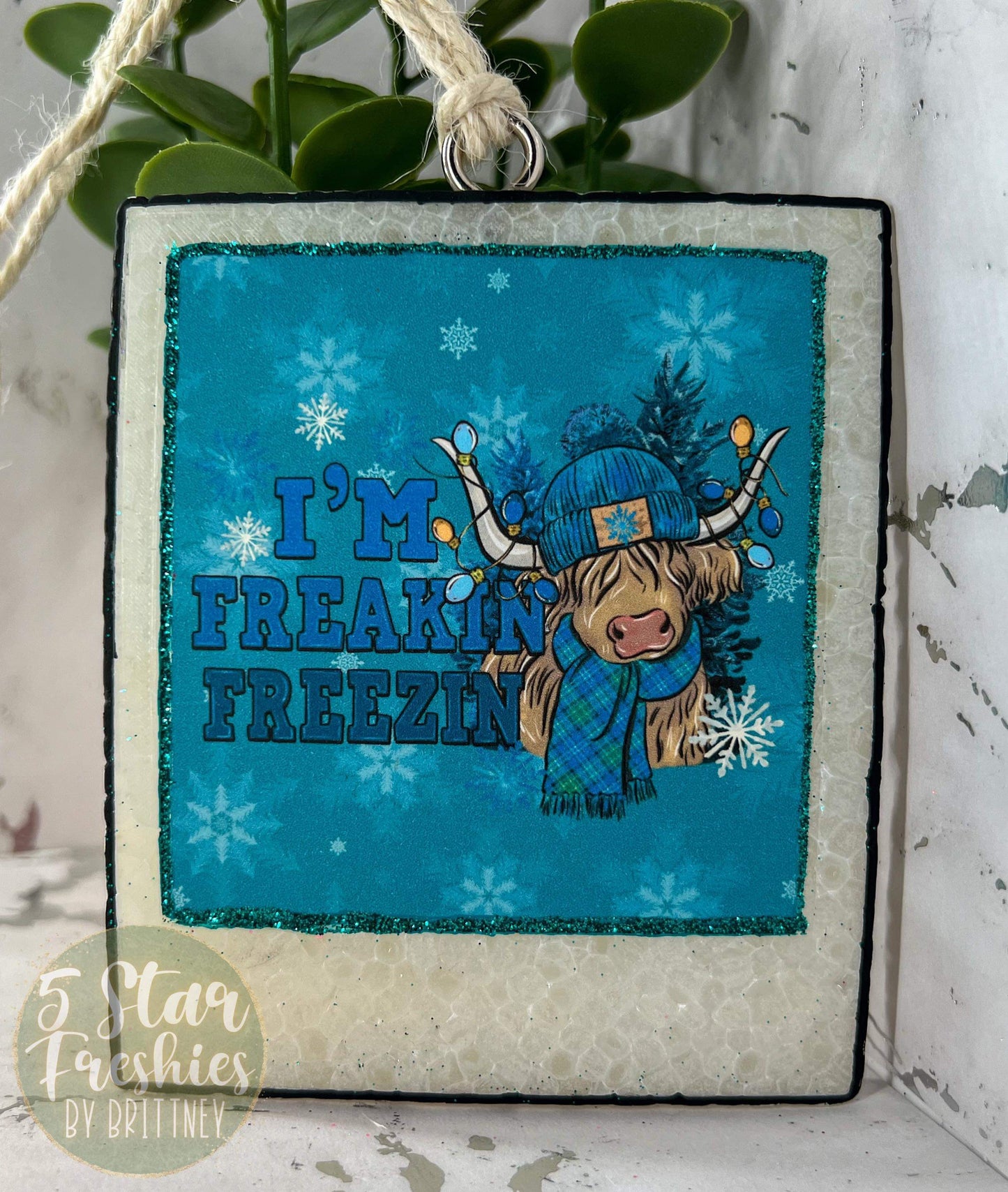 Polaroid Picture Freshie Silicone Mold