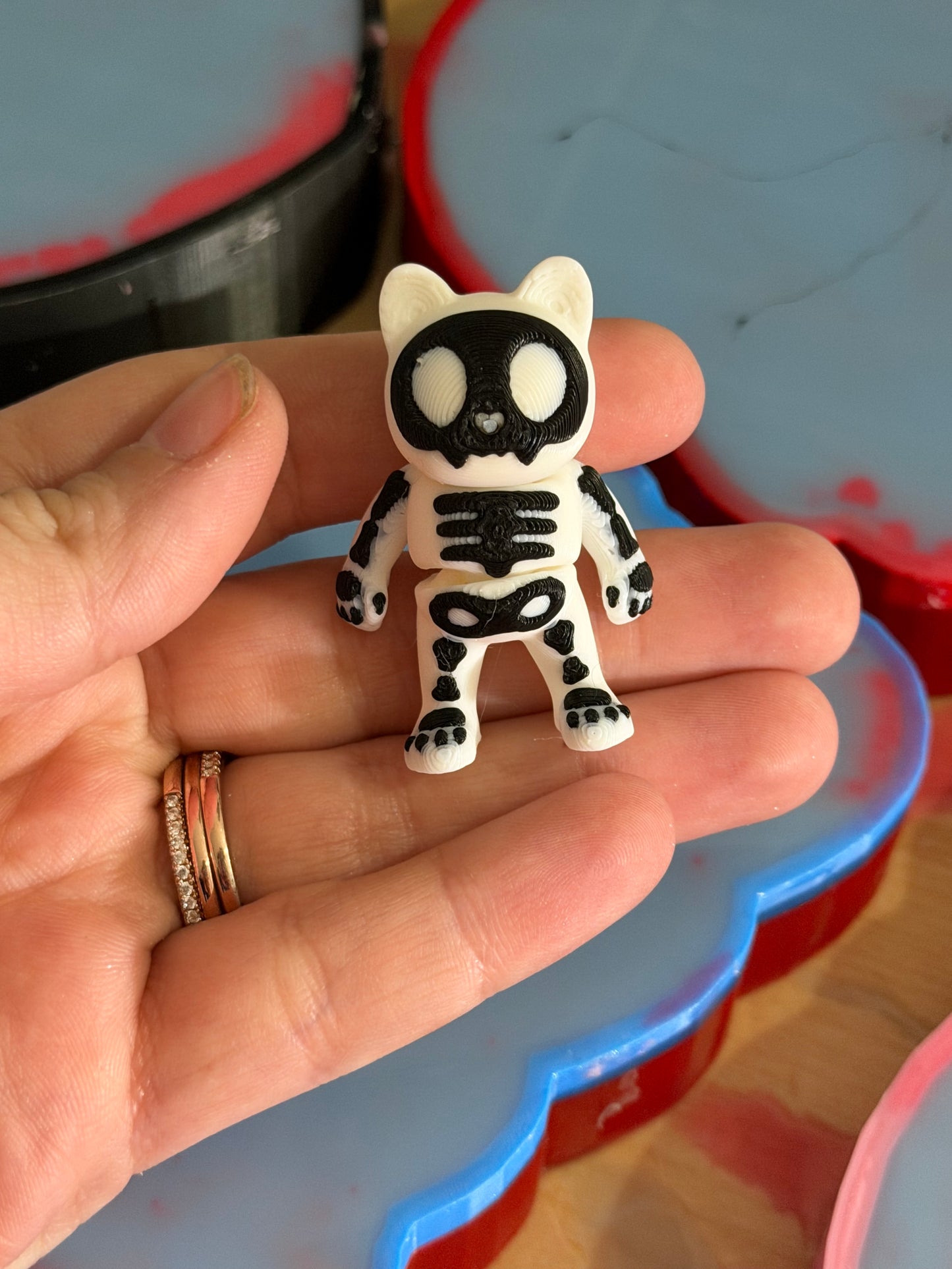 Articulated Cat Skull