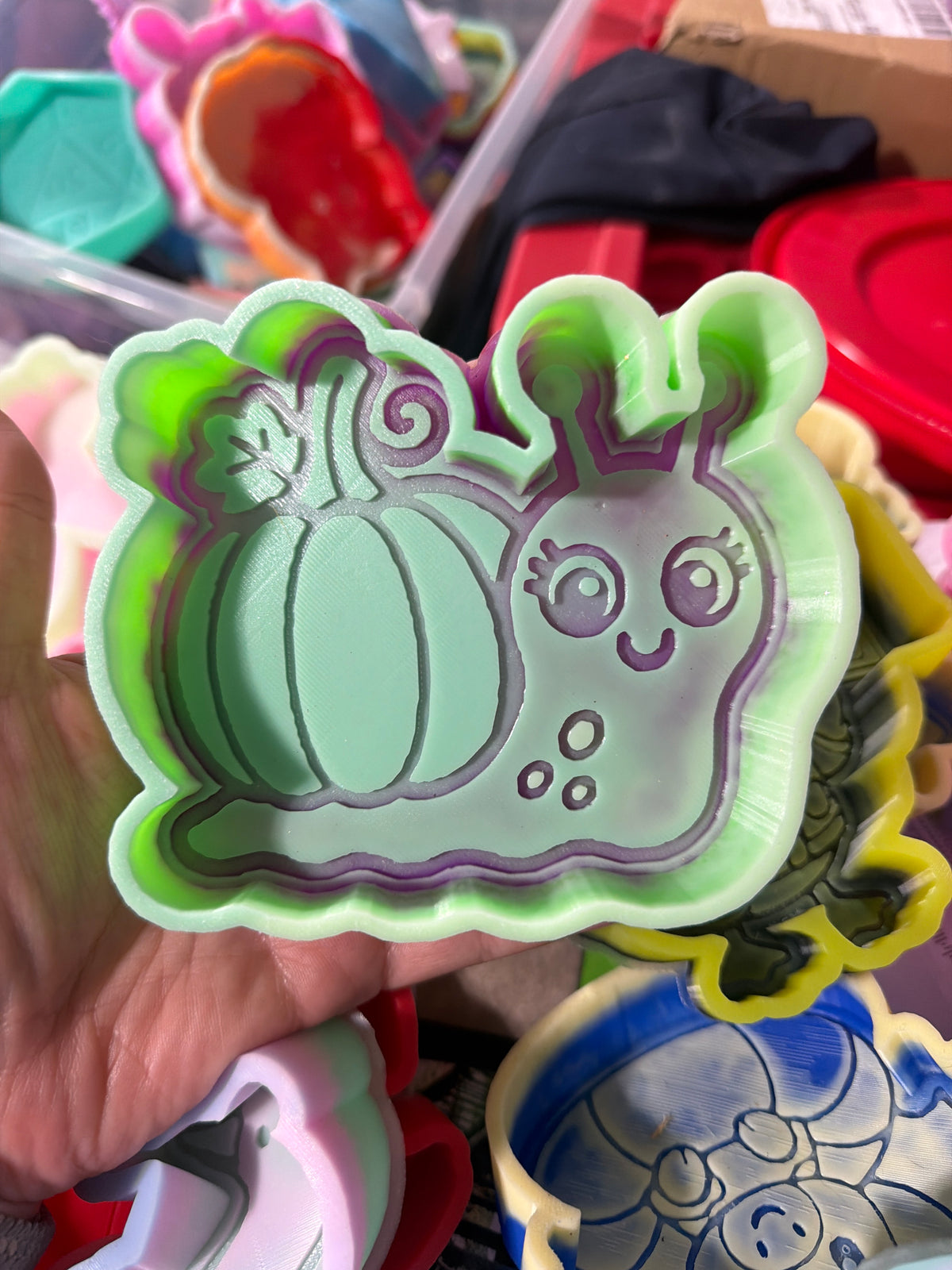 B GRADE - pumpkin snail