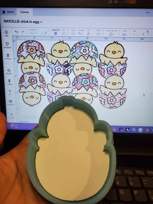 Chick In Egg CardStock Grab Bag