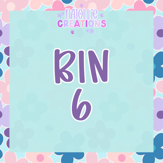 BIN 6