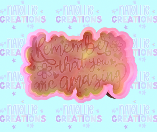 Remember You Are Amazing Freshie Silicone Mold