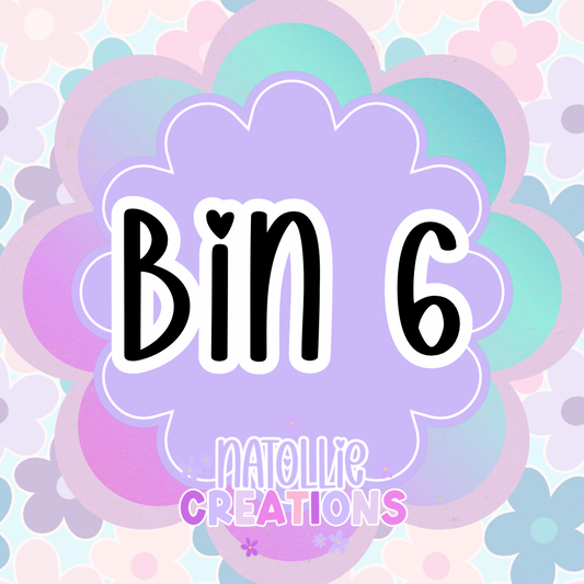 BIN 6