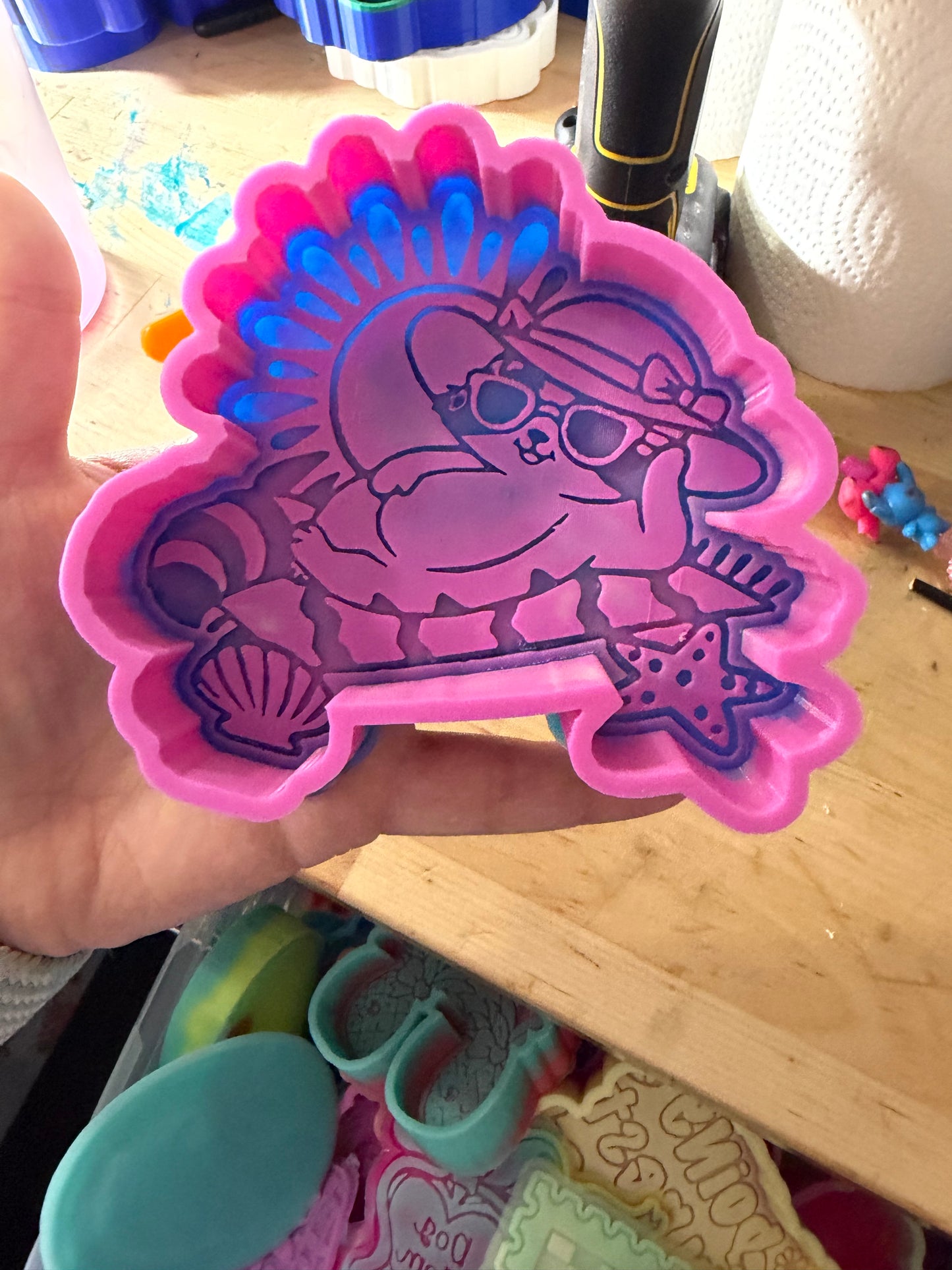 B GRADE - beach raccoon