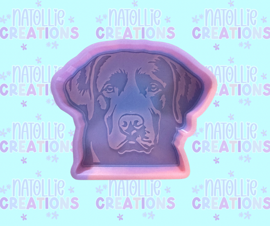 Lab Freshie Silicone Mold