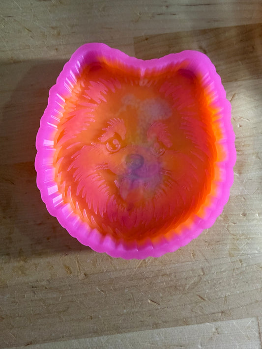 B GRADE - Pomeranian