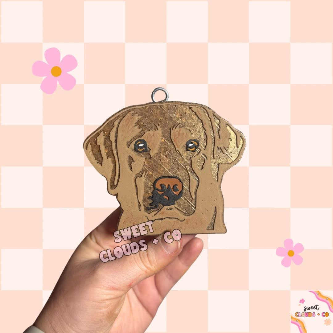 Lab Freshie Silicone Mold