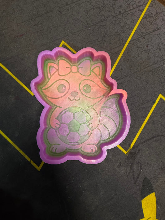 RTS - soccer raccoon