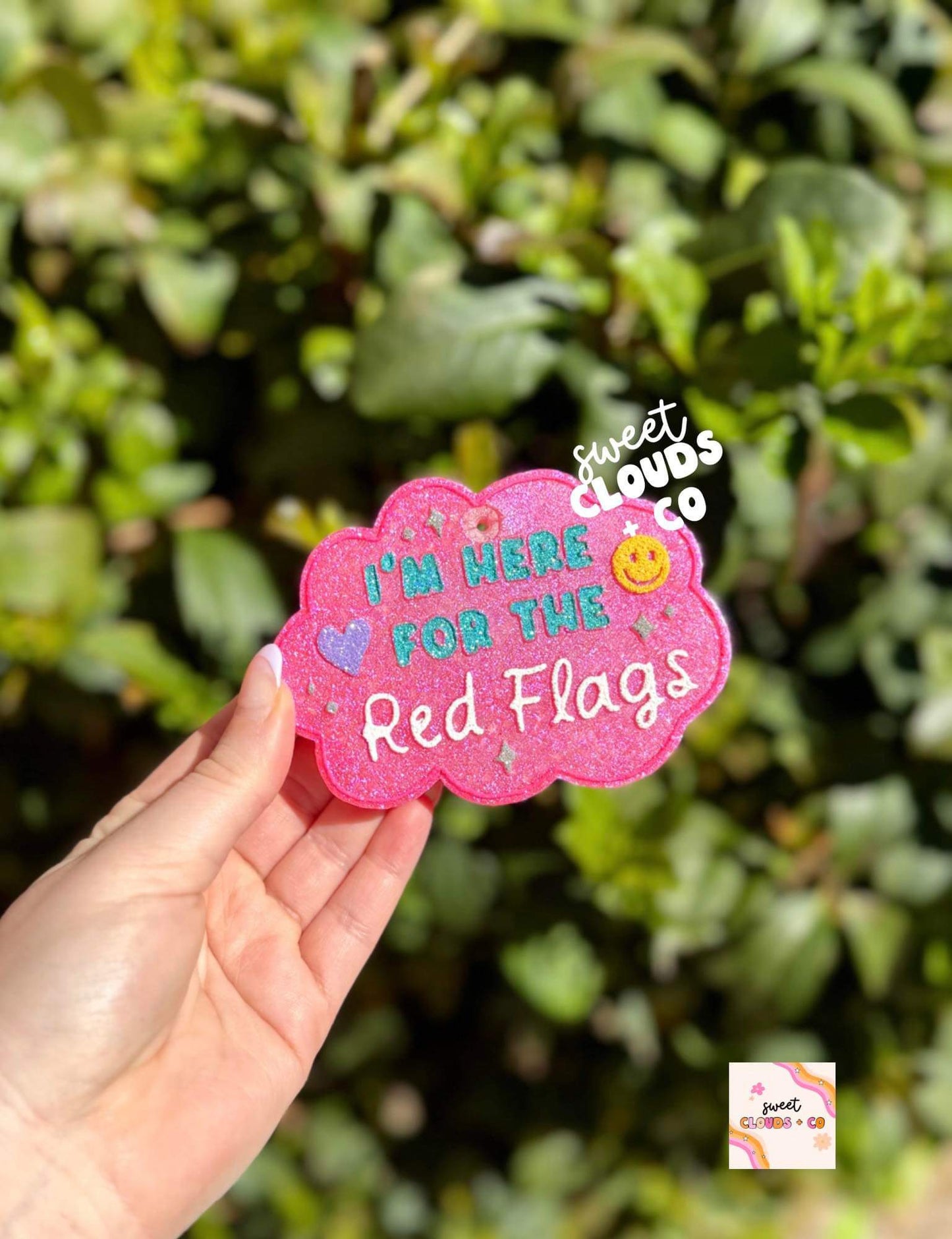 I’m Here For The Red Flags Freshie Silicone Mold
